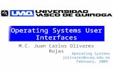 Operating Systems User Interfaces