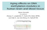 Aging effects on DNA methylation modules in human brain and blood tissue