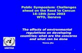Public Symposium: Challenges ahead on the Road to Cancun 16-18th June 2003 WTO, Geneva