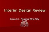 Interim Design Review