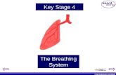 The Breathing System