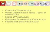 Theme 4: Visual Acuity