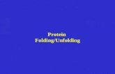 Protein  Folding/Unfolding