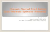 Chronic Spinal Cord Injury  (Lesi Medula Spinalis Khronis)