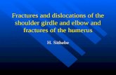 Fractures and dislocations of the shoulder girdle and elbow and fractures of the humerus