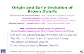 Origin and Early Evolution of Brown Dwarfs