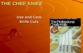 THE CHEF KNIFE