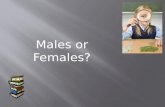 Males or Females?