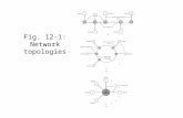 Fig. 12-1: Network topologies