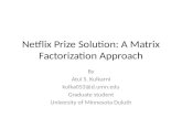 Netflix Prize Solution: A Matrix Factorization Approach