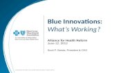 Blue Innovations: What’s Working?
