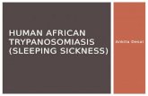 Human African Trypanosomiasis  ( sleeping sickness)