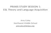 PRAXIS STUDY  SESSION  1: ESL Theory and Language Acquisition