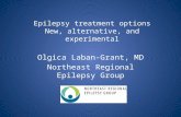 Epilepsy  treatment options New, alternative, and experimental