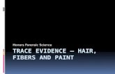 Trace Evidence – Hair, Fibers and Paint