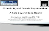 Vitamin D 3  and Female Reproduction:   A Role Beyond Bone Health