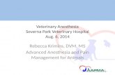 Veterinary Anesthesia Severna  Park Veterinary Hospital Aug. 6, 2014
