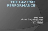 The LAV PMT PERFORMANCE