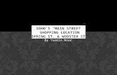 Soho’s  “main street” shopping location Spring  st.  &  wooster st.