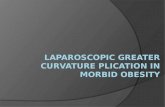 Laparoscopic  greater curvature  Plication  in Morbid Obesity