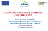 CULTURe EXchange  Platform ( CULTUR -EXP)
