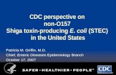 CDC perspective on  non-O157  Shiga toxin-producing  E. coli  (STEC) in the United States