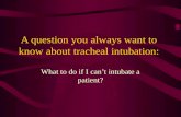 A question you always want to know about tracheal intubation: