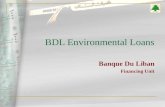 BDL Environmental Loans