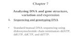 Chapter 7 Analyzing DNA and gene structure, variation and expression