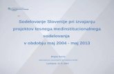 Brigita Smole namestnica nacionalne kontaktne točke Ljubljana, 11. 6. 2013