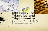 Similarity, Right Triangles and Trigonometry Journal Ch. 7 & 8