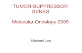 TUMOR-SUPPRESSOR GENES Molecular Oncology 2009