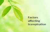 Factors affecting transpiration