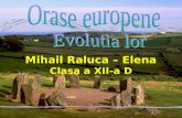 Mihail Raluca – Elena Clasa a XII-a D