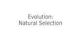 Evolution: Natural  Selection