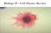 Biology II - Cell Theory Review