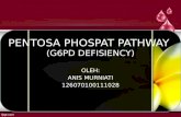 PENTOSA PHOSPAT PATHWAY  (G6PD DEFISIENCY)