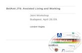 BelAmI JT6: Assisted Living and Working