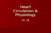 Heart Circulation & Physiology