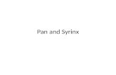 Pan and  Syrinx