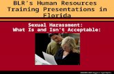 BLR’s Human Resources  Training Presentations in Florida