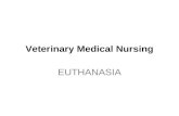 Veterinary Medical Nursing