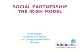 SOCIAL PARTNERSHIP THE IRISH MODEL