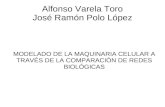 Alfonso Varela Toro José Ramón Polo López