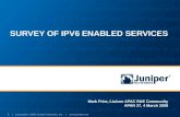 SURVEY OF IPV6 ENABLED SERVICES