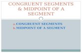 CONGRUENT SEGMENTS & MIDPOINT OF A SEGMENT