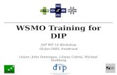 WSMO Training for DIP