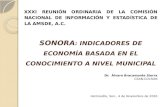 XXXI Reunión Ordinaria de la Comisión Nacional De Información y Estadística de la AMSDE, A.C.