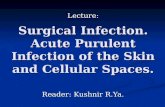 Surgical Infection. Acute Purulent Infection of the Skin and Cellular Spaces