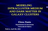 MODELING    INTRACLUSTER MEDIUM AND DARK MATTER IN GALAXY CLUSTERS